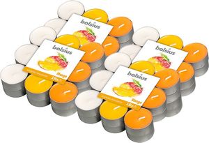 Bolsius Podgrzewacze zapachowe BOLSIUS 4H 72szt. MANGO 1
