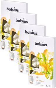 Bolsius Wosk zapachowy do kominka BOLSIUS True Moods 24szt. FEEL HAPPY 1