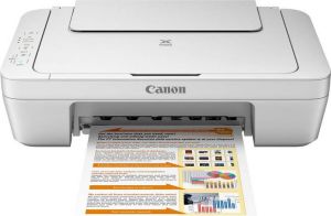 Urządzenie wielofunkcyjne Canon PIXMA MG2555 (8330B020) 3