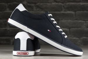 Tommy Hilfiger Buty Tommy Hilfiger HARLOW 1D FM0FM00596 403 41 1