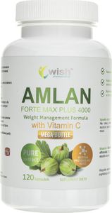 Progress Labs Progress Labs Amlan Forte (Agrest Indyjski) 4000 mg - 120 kapsułek 1