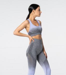 Carpatree Biustonosz Phase Seamless Bra Purple & Grey Ombre r. XS 2