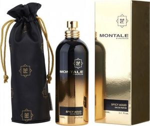 Montale Montale SPICY AOUD EDP 100ml 1