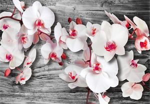 DecoNest Fototapeta - Oziębłe orchidee - 350X245 1