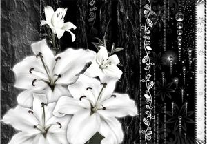 DecoNest Fototapeta - Płaczące lilie - 250X175 1