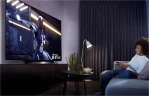 Telewizor LG OLED55BX3 OLED 55'' 4K Ultra HD WebOS 5.0 11