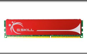 Pamięć G.Skill Performance, DDR2, 1 GB, 800MHz, CL5 (F2-6400CL5S-1GBNQ) 1