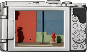 Aparat cyfrowy Nikon Coolpix S9900, silver 10