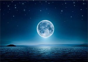 DecoNest Fototapeta - Księżycowa noc - 150X105 1