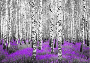 DecoNest Fototapeta - Purpurowy azyl - 350X245 1