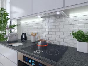 Okap Berdsen BT-231 2