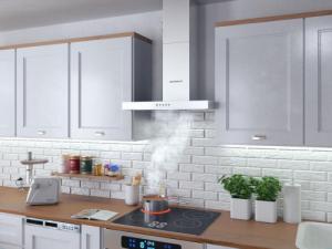 Okap Berdsen  BE-60A-T1 5