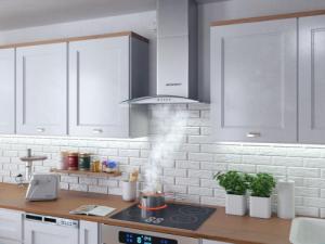 Okap Berdsen BT-202 6