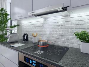 Okap Berdsen BE-60-LW 6