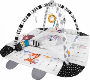 Ricokids Mata Interaktywna Edukacyjna 4