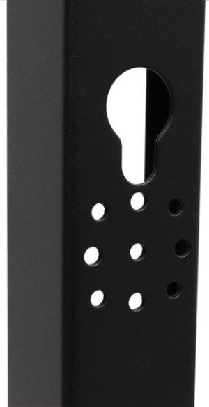 Szafa StarTech Stojąca 19" 42U (4POSTRACK42) 7