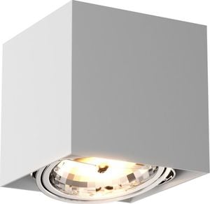 Lampa sufitowa Selsey Spot Pence kwadratowy biały 1