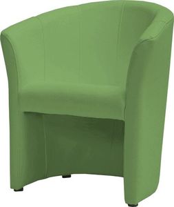Selsey Fotel Raklev zielony 1