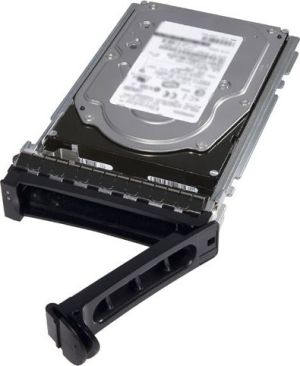 Dysk serwerowy Dell 1 TB 3.5'' SATA III (6 Gb/s)  (400-AEFB) 1