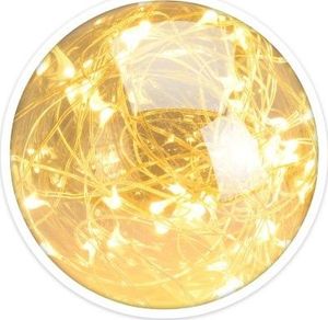 Selsey Żarówka Parklim G95 50 LED golden 2