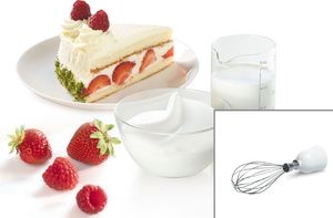 Blender Bosch MSM26500 3