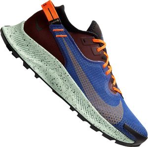 Nike Nike Pegasus Trail 2 GTX 600 : Rozmiar - 42 1