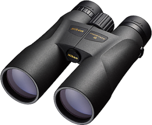 Lornetka Nikon Prostaff 5 12x50 (BAA823SA) 1