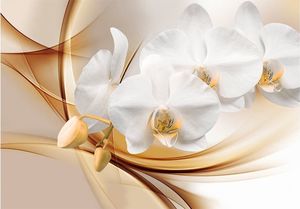 DecoNest Fototapeta - Kwiat orchidei - 200X140 1