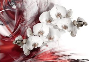 DecoNest Fototapeta - Orchidea w czerwieni - 200X140 1