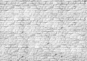 DecoNest Fototapeta - Białe cegły - 400X280 1