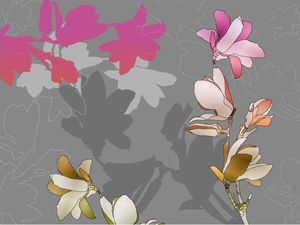 DecoNest Fototapeta - Pastelowe magnolie - 350X270 1