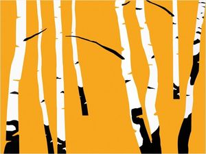 DecoNest Fototapeta - Birches on the orange background - 350X270 1