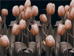 DecoNest Fototapeta - Ladies among the flowers - 200X154 1