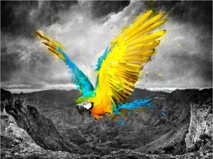 DecoNest Fototapeta - Exotic parrot - 200X154 1