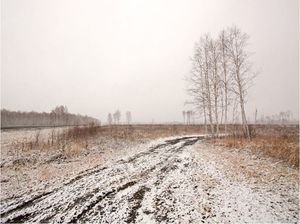 DecoNest Fototapeta - Winter field - 350X270 1