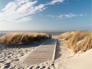 DecoNest Fototapeta - Plaża Morza Północnego, Langeoog - 350X270 1