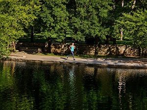 Smartband Garmin Garmin vvosport GPS fitness tracker, całodobowy pomiar tętna na nadgarstku, zintegrowany GPS, fabrycznie zainstalowana aplikacja do biegania,wyświetlacz dotykowy o wysokiej rozdzielczości, 010-01789-03 8