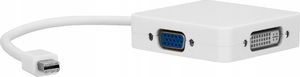 Adapter AV Pawonik DisplayPort Mini - HDMI - D-Sub (VGA) - DVI-I - Jack 3.5mm biały 3