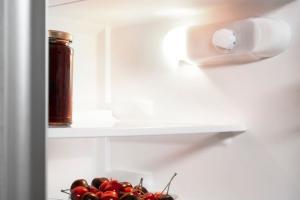 Lodówka Whirlpool ART 6510 SF1 2