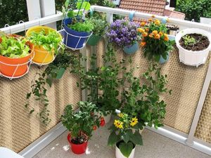 TechnoRattan Osłona Balkonowa oczkowana z TECHNORATTANU na WYMIAR (0,05m2) - Słomkowa RD08 6