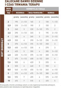 Royal Canin Intestinal Gastro Moderate Cat 12x85g 2