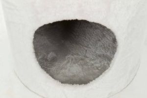 Trixie TRIXIE Drapak dla kota Aurelio, 220-250 cm, biało-brązowy 3