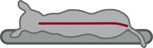 Trixie TRIXIE Materac ortopedyczny dla psa Bendson Vital, 100 x 65 x 16 cm 7