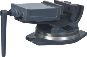 vidaXL Imadło uchylno-obrotowe, 2-osiowe, 160 mm 4