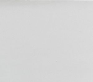 Ekran do projektora vidaXL Tkanina na ekran projekcyjny, metaliczna, PVC, 120, 16:9 3