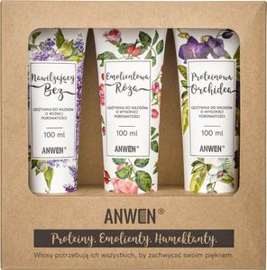 Anwen Zestaw 3 odżywek do wysokiej porowatości - 100 ml (ANW-195) 1