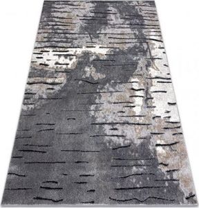 Dywany Łuszczów Dywan nowoczesny COZY 8876 Rio - Strukturalny, dwa poziomy runa szary, 280x370 cm 1