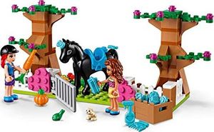 LEGO Friends Zestaw klocków Heartlake City (41431) 7