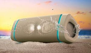 Głośnik Sony SRS-XB33 beżowy 7