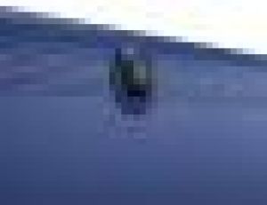 Tablet Lenovo 10.1" 16 GB Niebieski  (ZA000012PL) 6